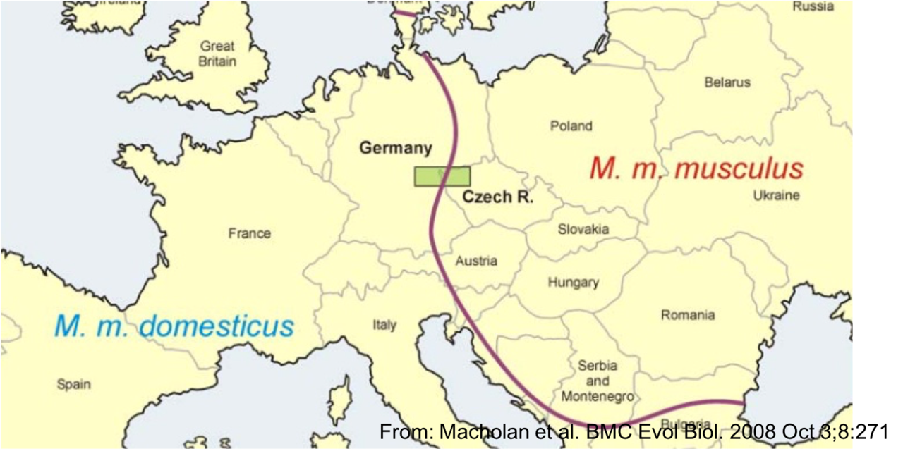 Chromosomal reproductive isolation revisited