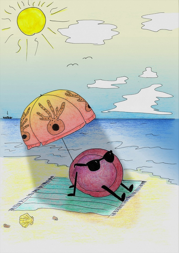 The zebrafish shows how blood stem cells found their niche in bone marrow