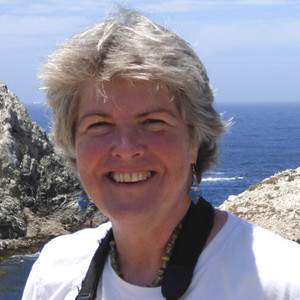 Go to the profile of Fiona Maisels