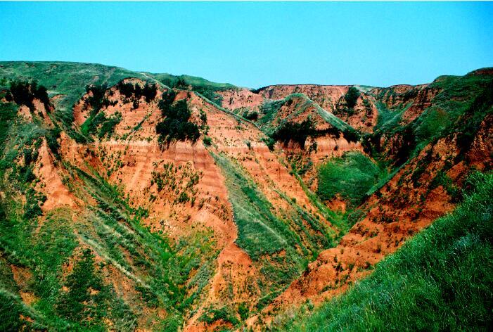 Hominin occupation of the Chinese Loess Plateau since about 2.1 million years ago