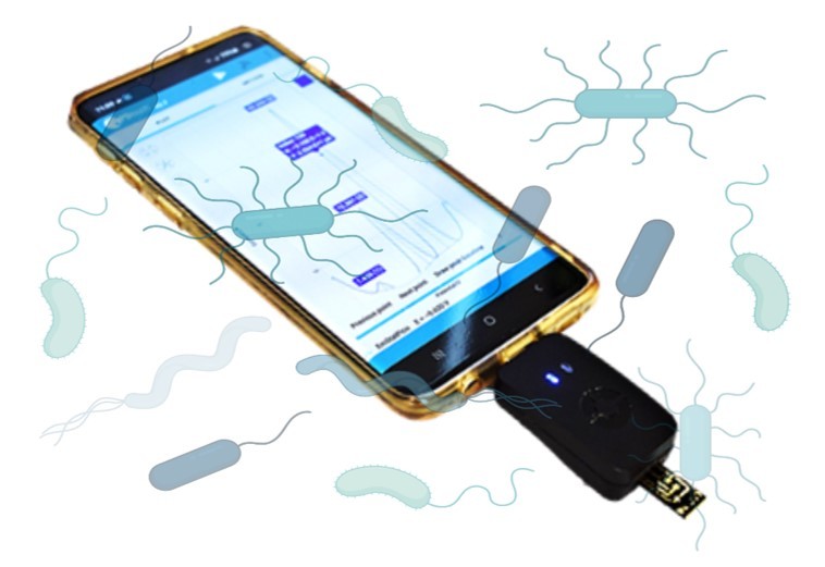 Rapid and reagent-less bacterial identification by combining RNA-cleaving DNAzymes with electrochemistry