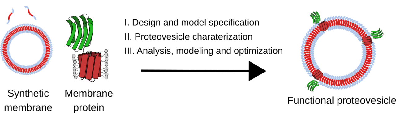 From molecular hoovers and frameworks: A love story