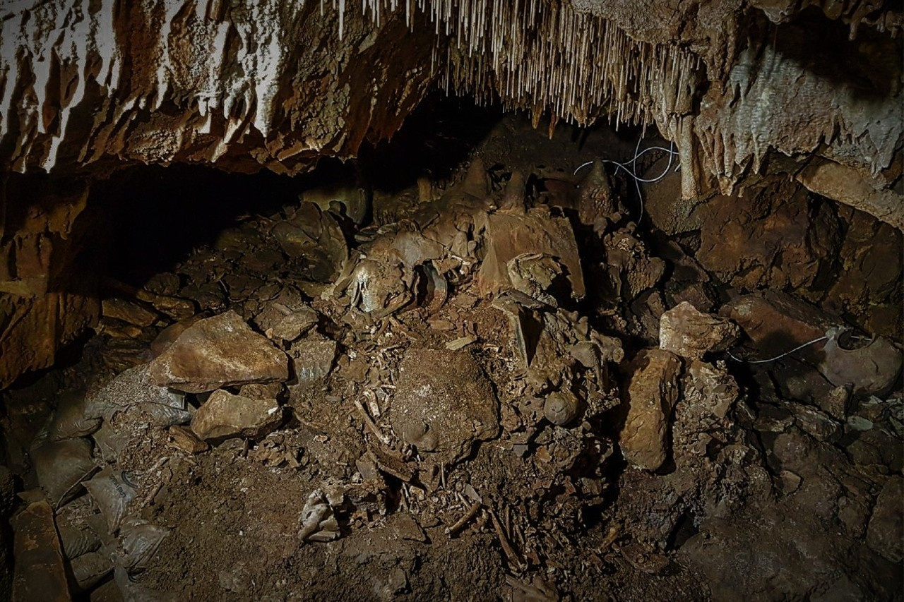 What were blue eyed people doing in Northern Israel 6,500 years ago?