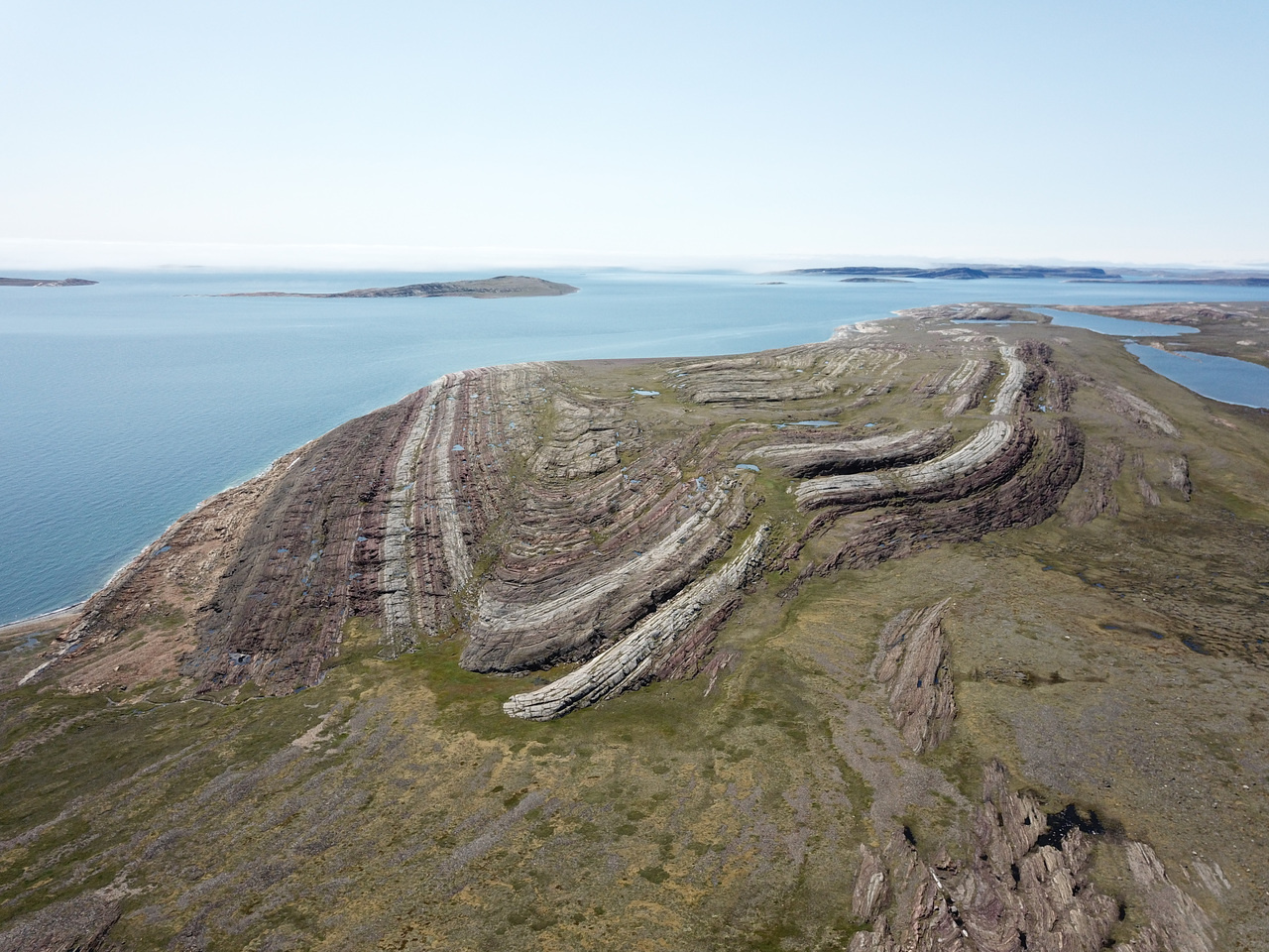 Uncovering a decline in Earth's adolescent biosphere