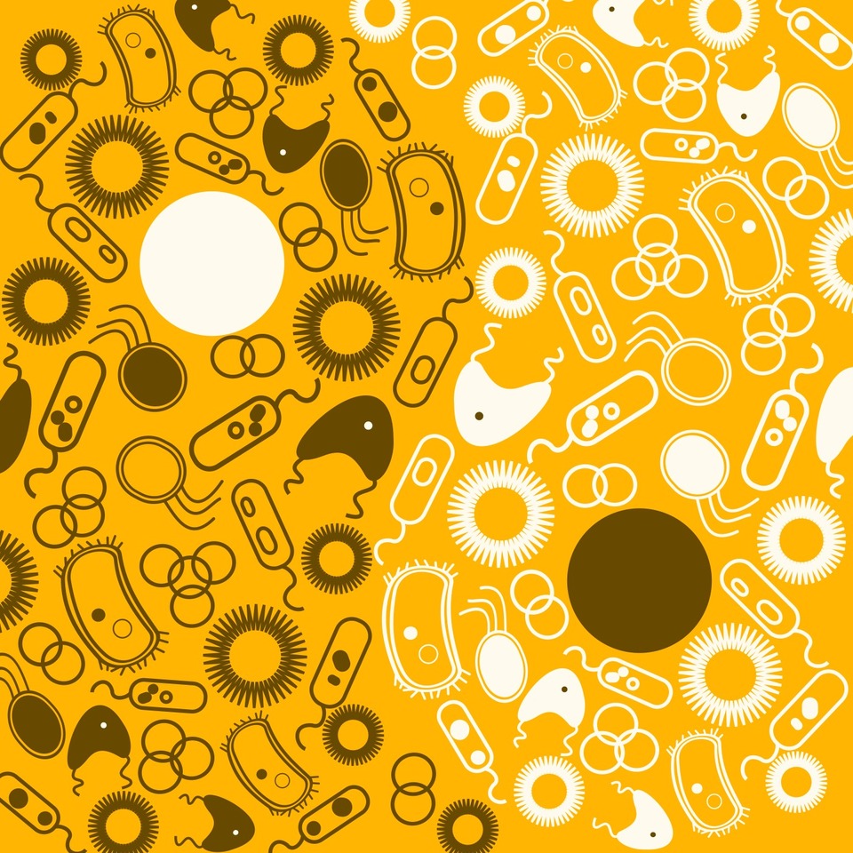 Gut microbiome associations with disease: it’s all relative