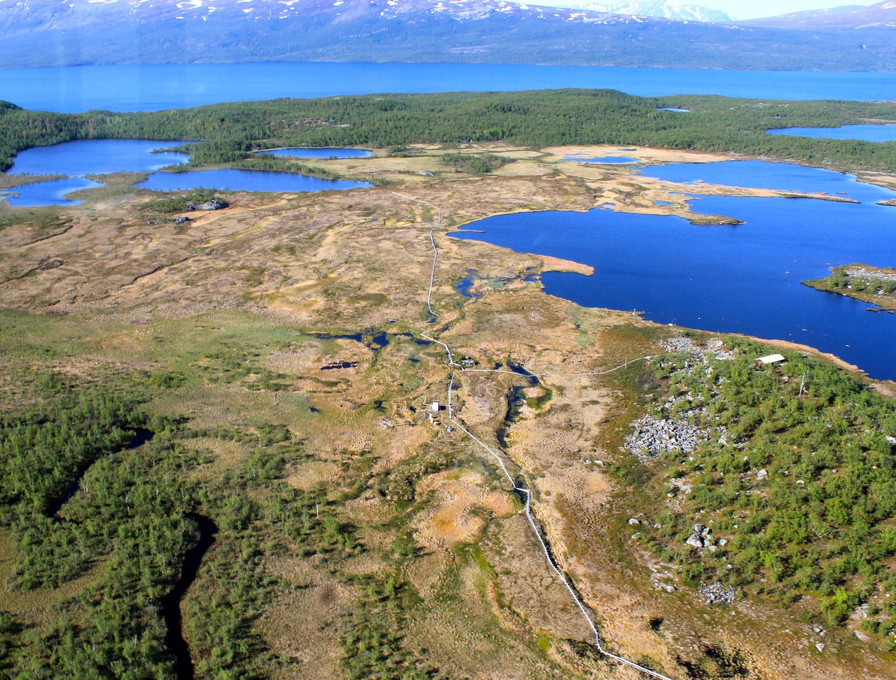 Soil viruses: unlocking the secret garden