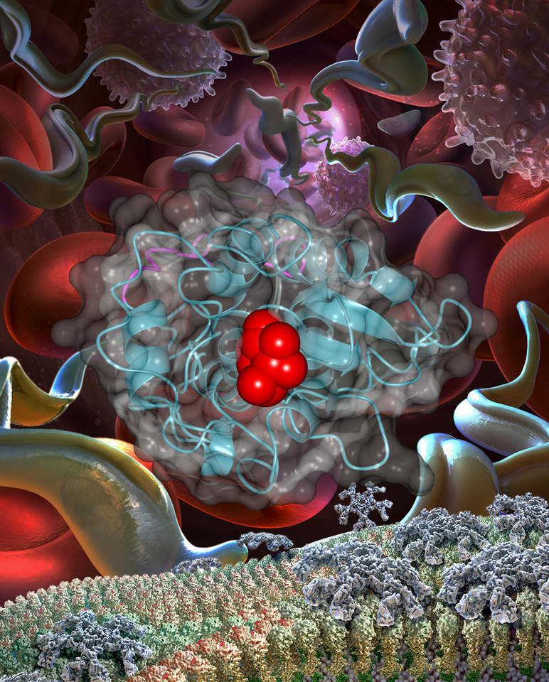 A Spoonful of Sugar Helps the Parasite Go Down