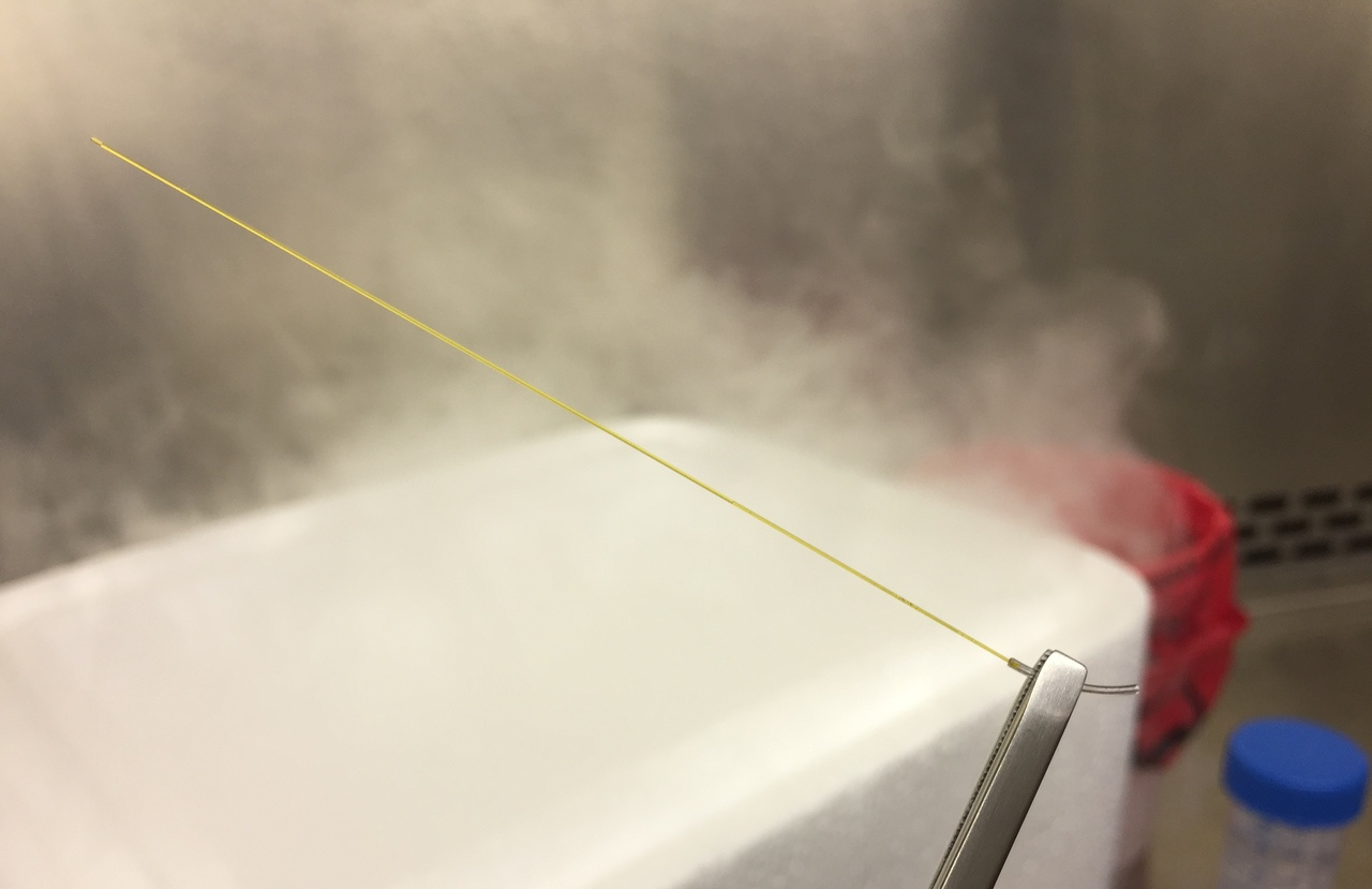 Ultra-fast cooling- a novel approach to cryopreservation of Cryptosporidium.