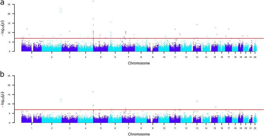 Editorial summary—DNA methylation signatures of educational attainment