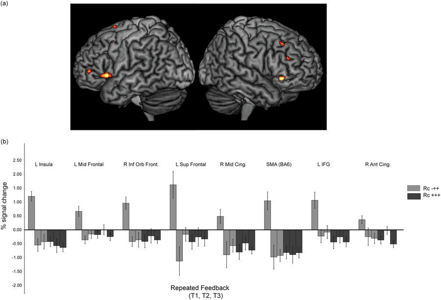 Editorial Summary—Neural activations associated with feedback and retrieval success