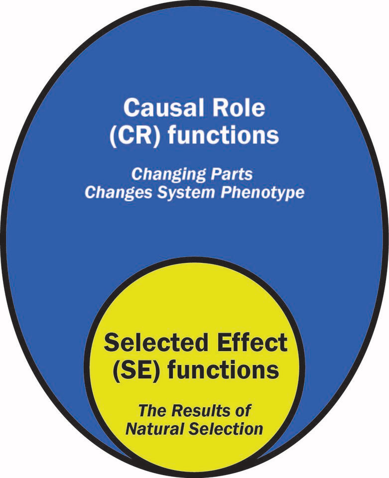 Defining Microbiome Function