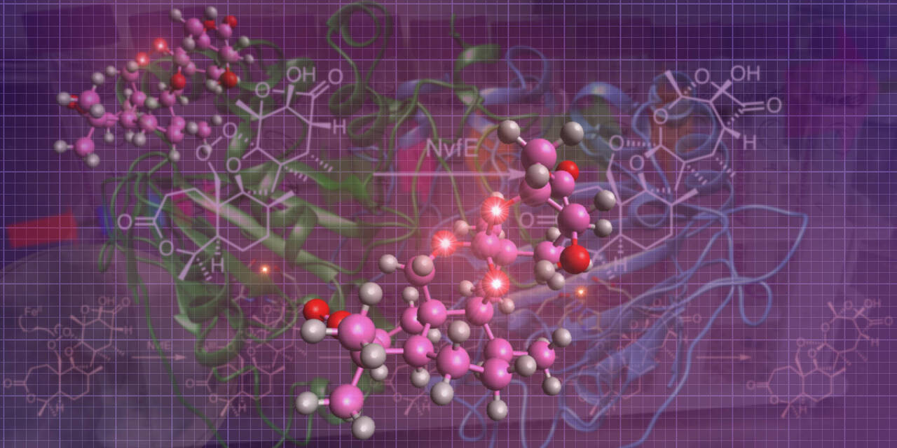 When iron meets endoperoxide
