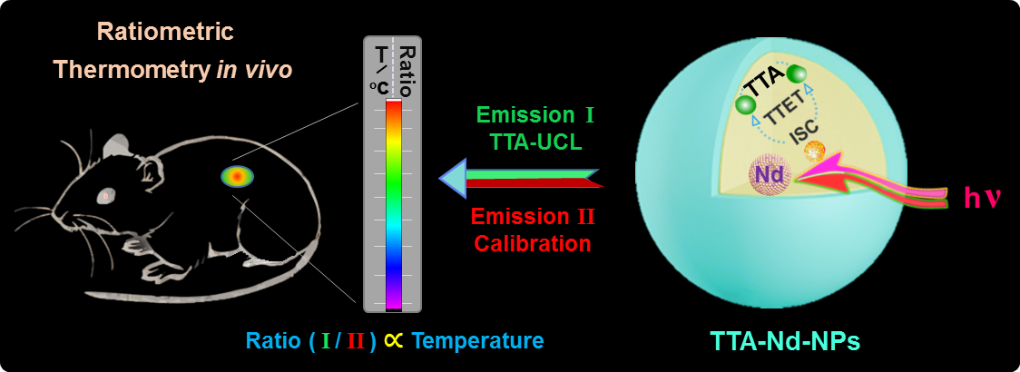 Ratiometric nanothermometer in vivo based on triplet-sensitized upconversion