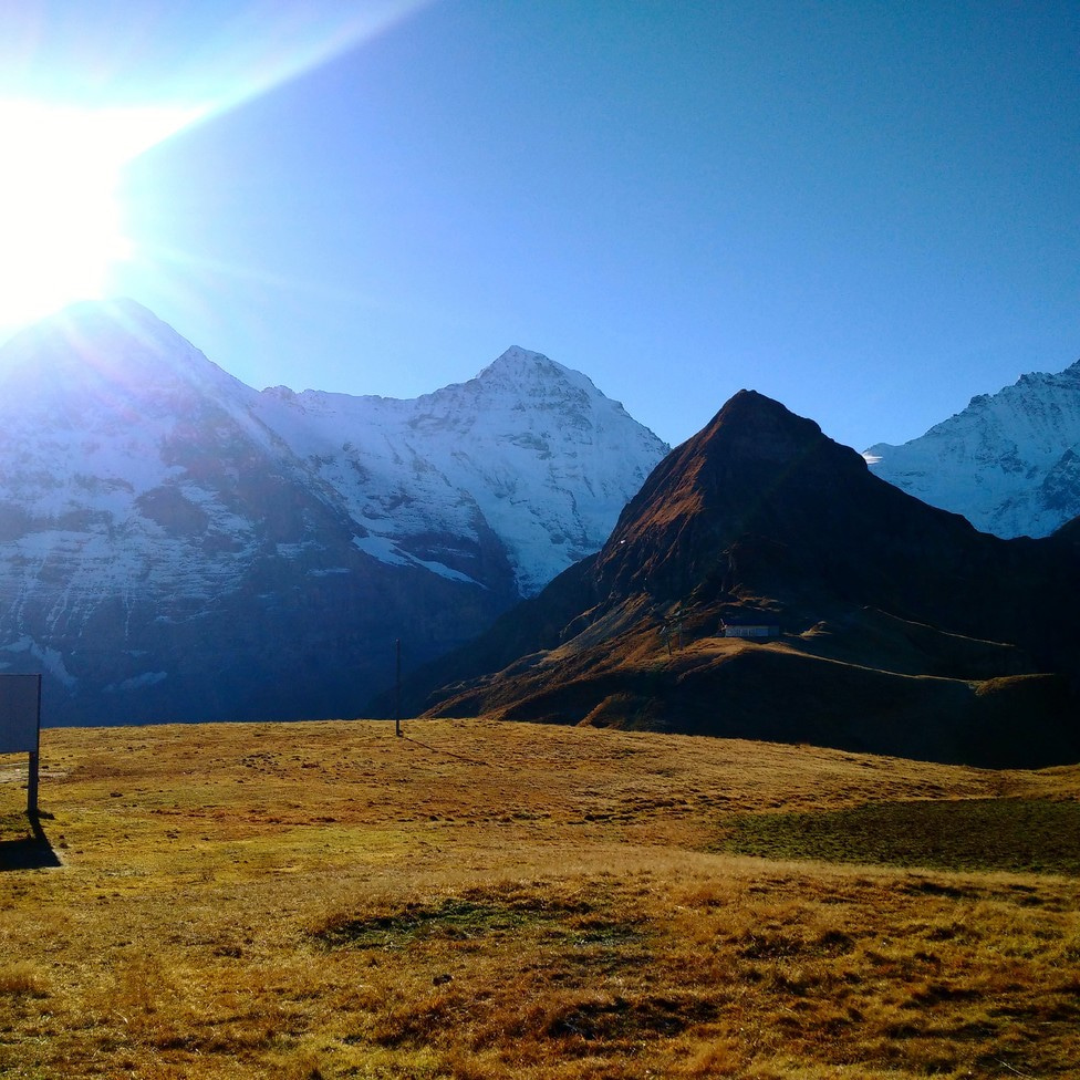 Why a policy review does not do the job…