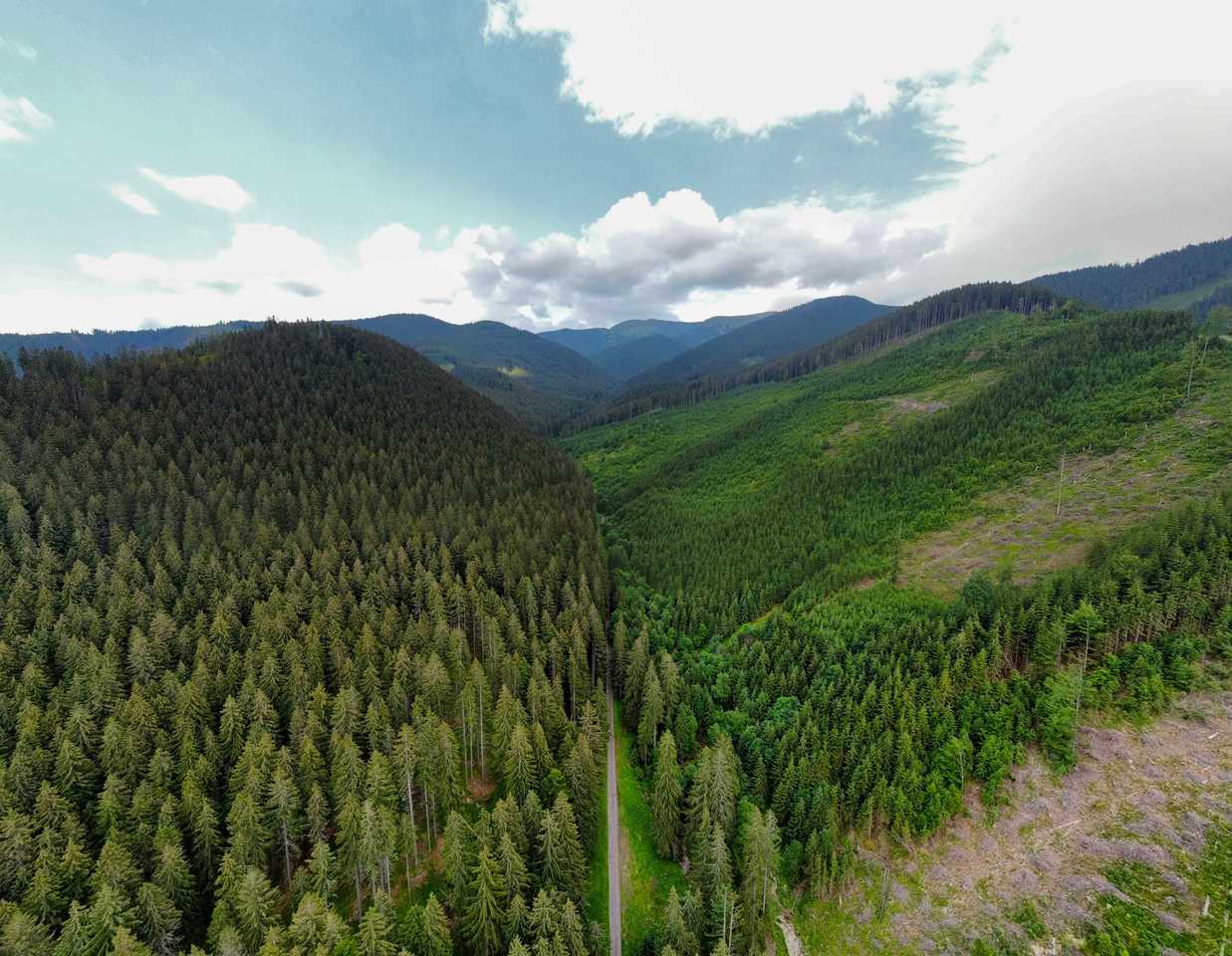 How online communities harness collective intelligence