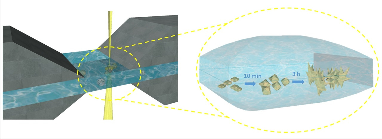 Making a nano-movie using liquid-cell transmission electron microscopy