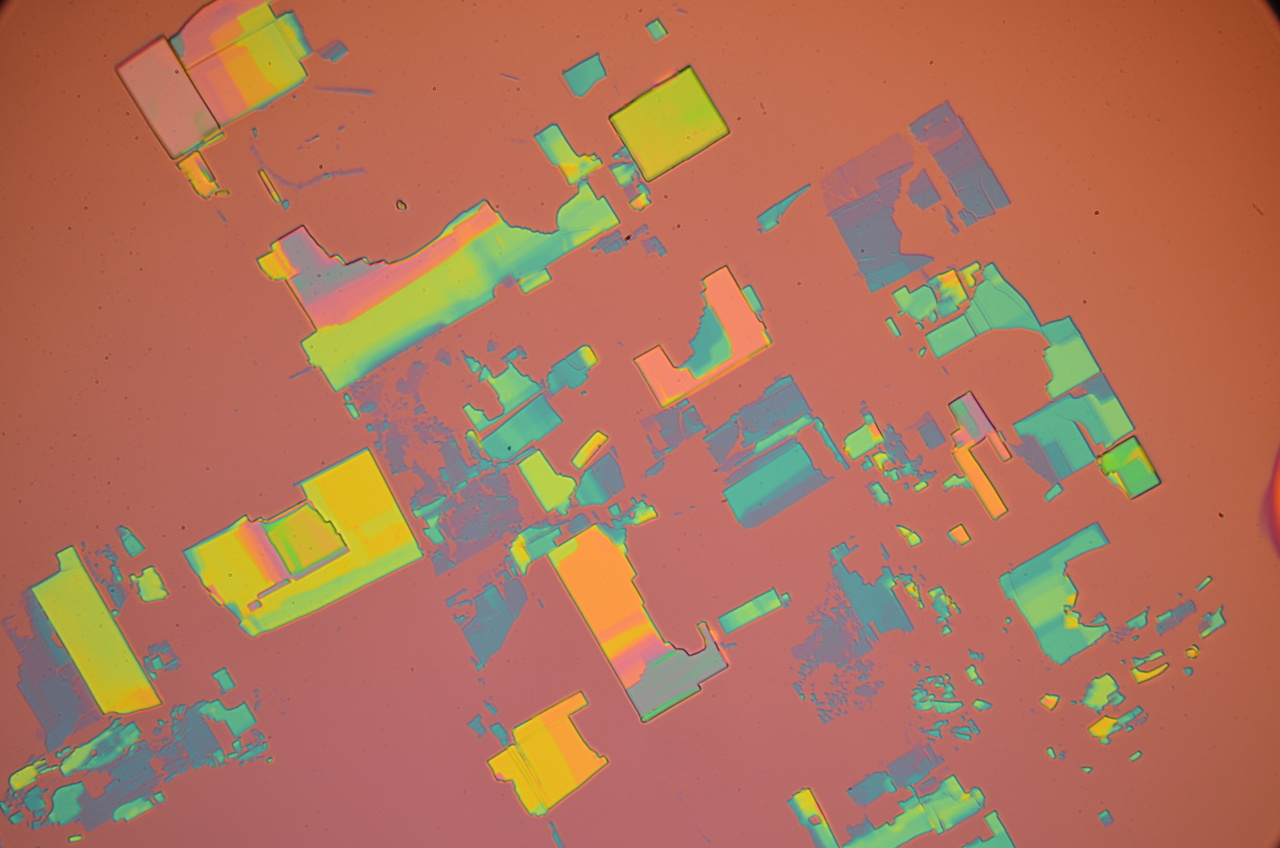 Functionalization and magnetism in 2D materials