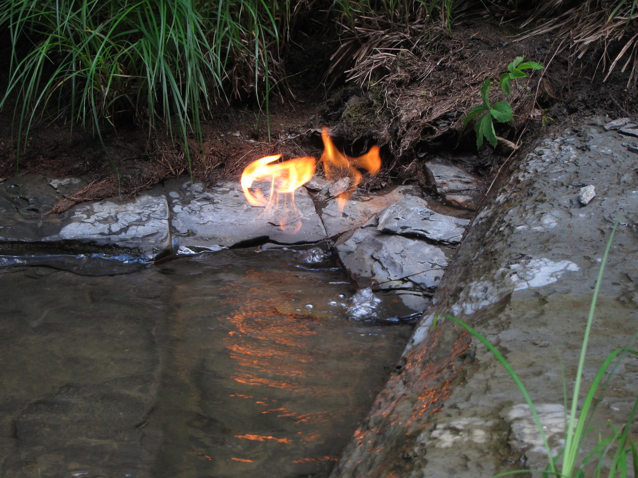 Natural Gas Seeps: An excellent habitat for bacteria feeding on methane and other climate active gaseous alkanes