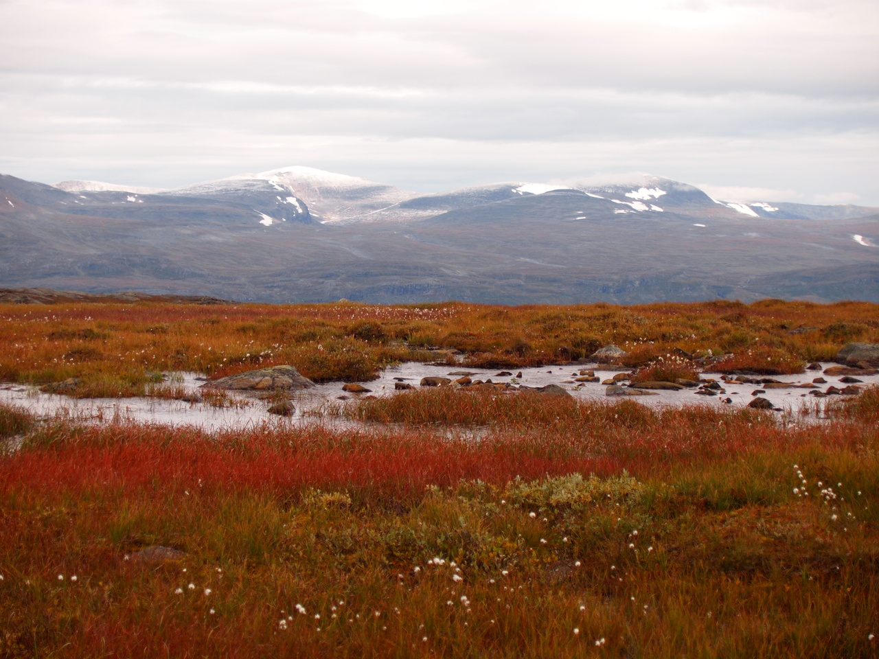 Known knowns, known unknowns and unknown unknowns in Arctic science