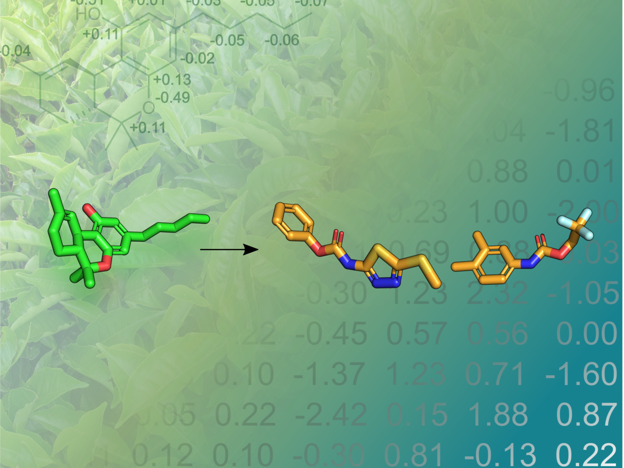 Capturing the structural complexity of natural products for computer-assisted drug discovery 