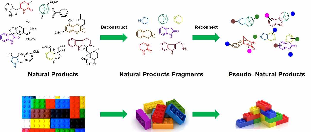 Instructions for nature's LEGO Bricks