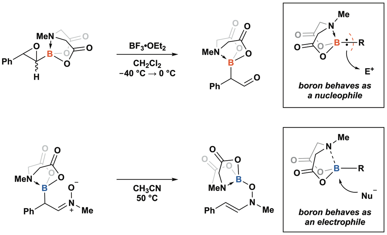 Boron and Hemilability