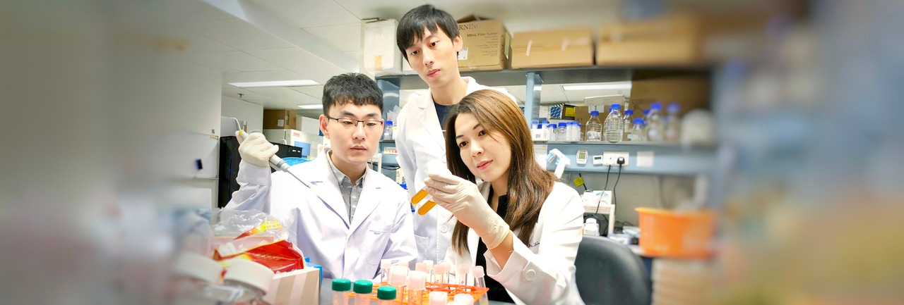 Fecal Microbiota Transplantation (FMT): A little too much Candida do more harm than good?