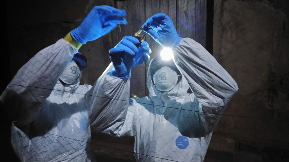 A new paradigm to understand zoonotic risk and the pre-emergent viral pool in wildlife          