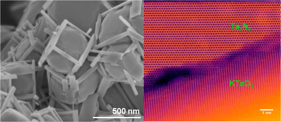 The growth of rod-like tantalum nitride single crystals on potassium tantalate  for visible-light-driven overall water splitting