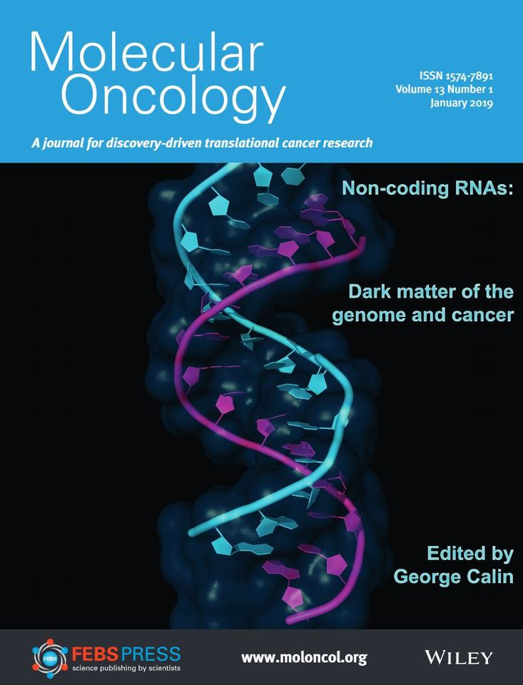 A Molecular Oncology Special Issue – Non-coding RNAs: dark matter of the genome and cancer