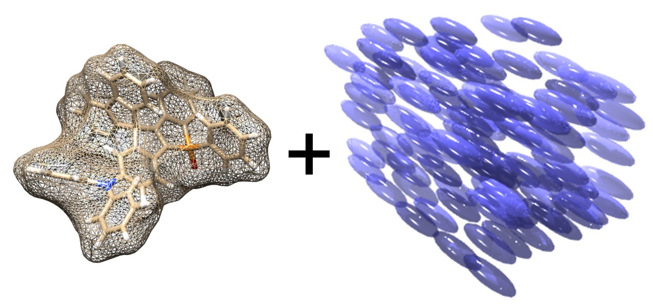 How do they align and emit fluorescence in an anisotropic liquid?