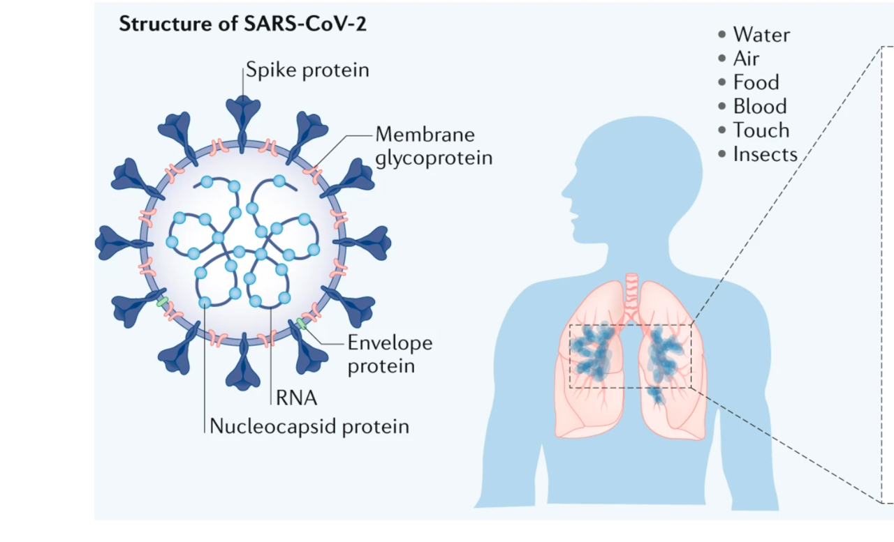 Tackling COVID-19 with materials science