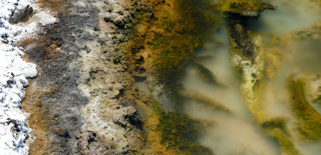 Metabolic evolution in ancient microbial ecosystems