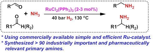 A simple catalyst tamed the challenging amination reaction