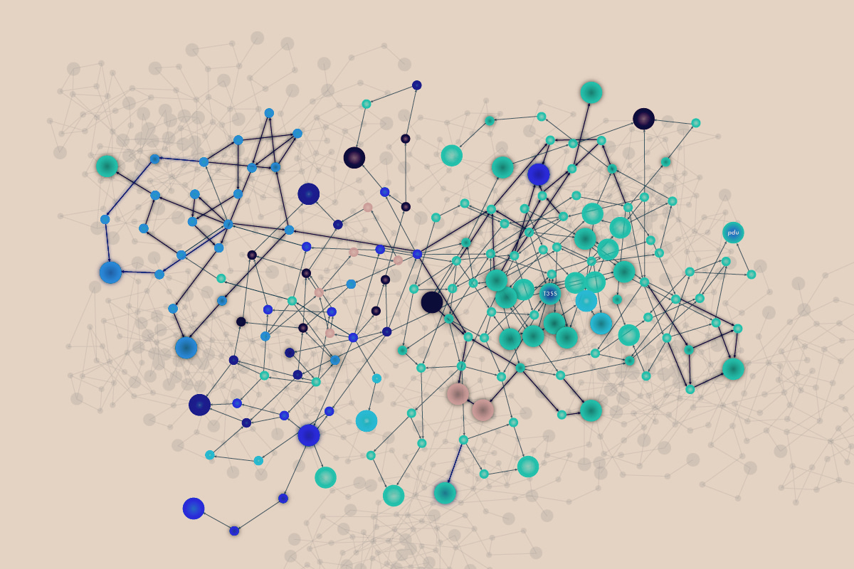 Host-derived metabolites are key to Citrobacter success