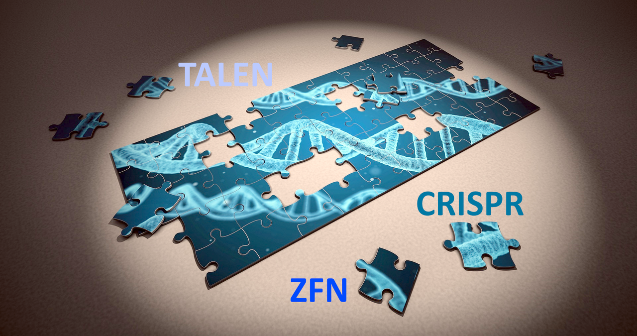 The hope and hype of CRISPR genome editing