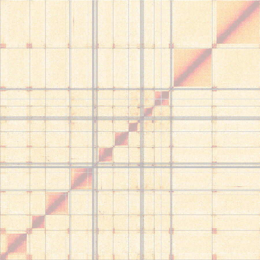 Linking genome architecture and antigenic variation