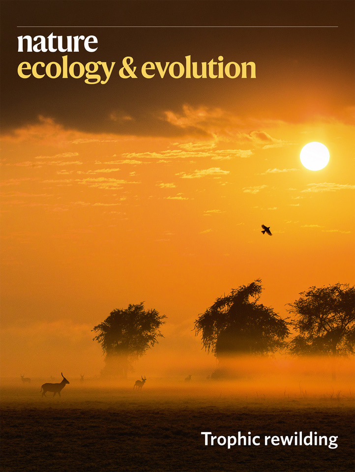 Gallery | May 2020 cover