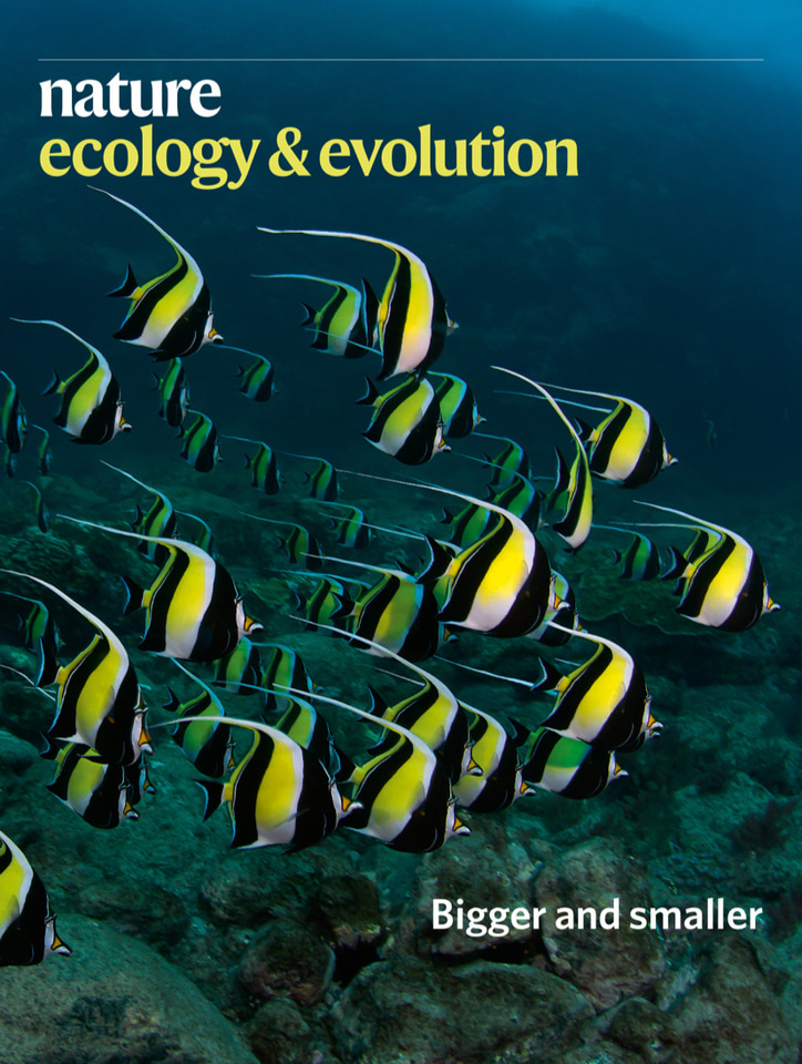 Gallery | June 2020 cover