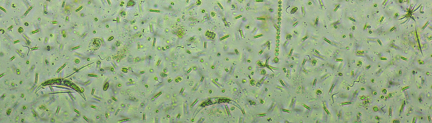 Gallery | April 2017 homepage image 1