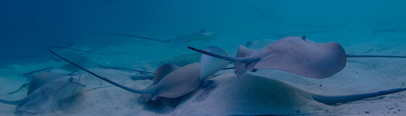 Gallery | February 2017 homepage image 2