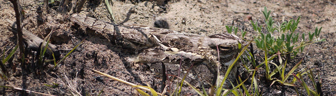 Gallery | September 2017 homepage image 2