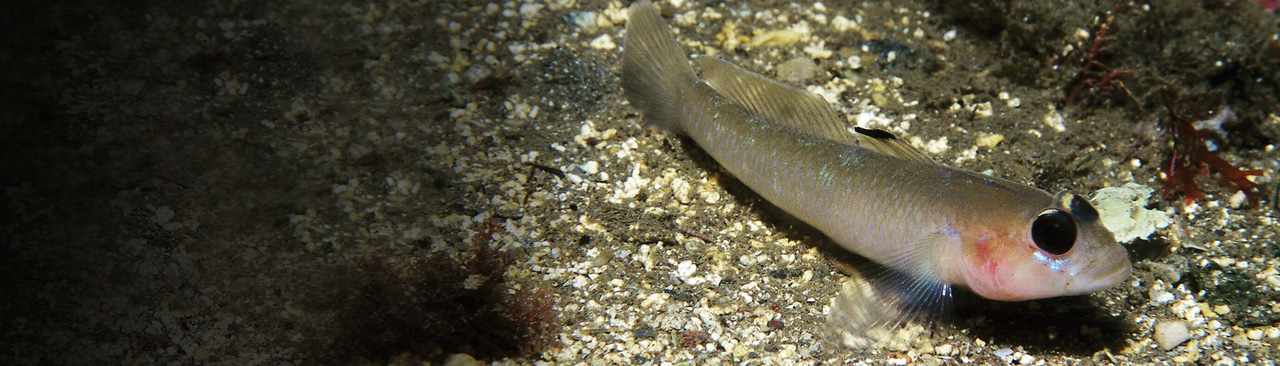 Gallery | April 2018 homepage image 2