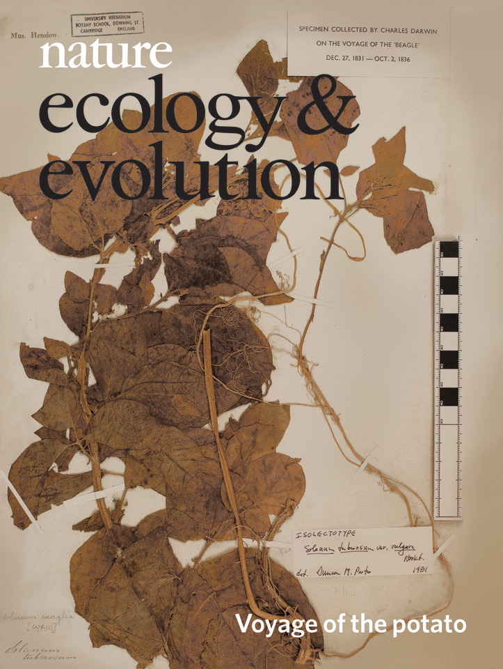 Gallery | July 2019 cover