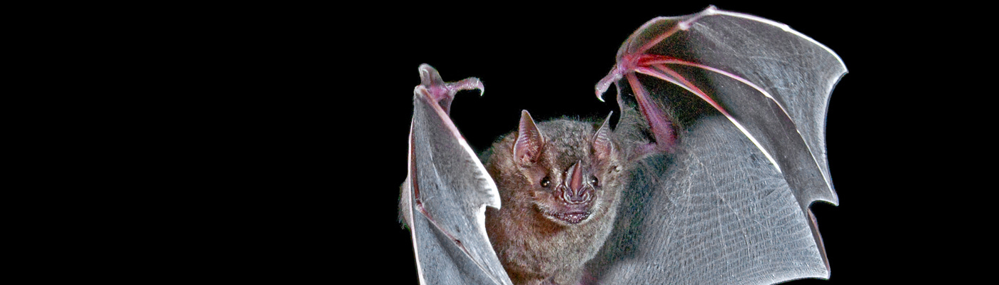 Gallery | February 2017 homepage image 1