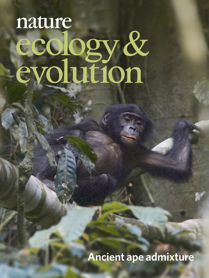 Gallery | June 2019 cover