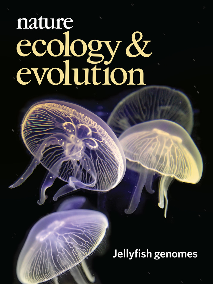 Gallery | May 2019 cover