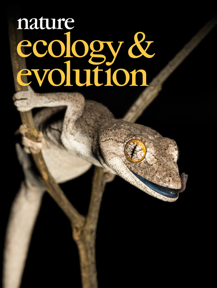 Gallery | December 2017 cover