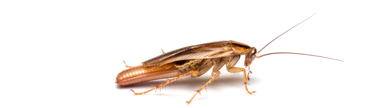 Gallery | March 2018 homepage image 2