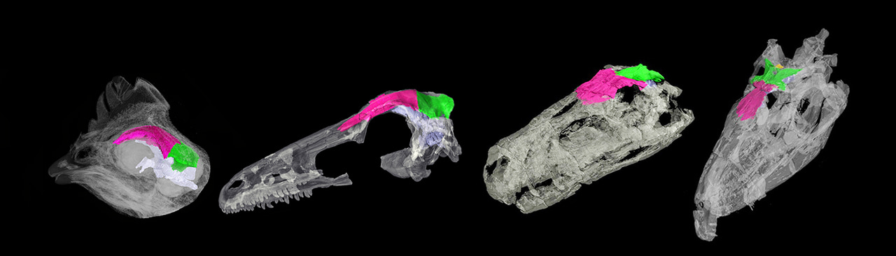 Gallery | October 2017 homepage image 2